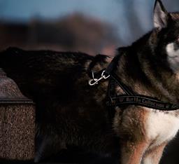 Умное ЖКХ в Тест